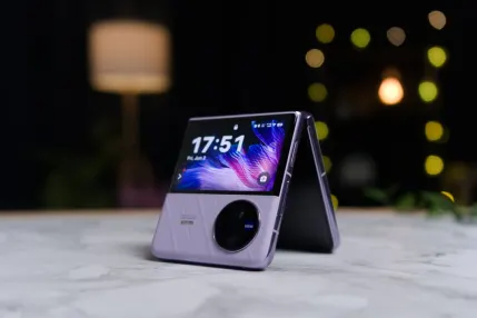 Casino Jungle Raja App Mobile